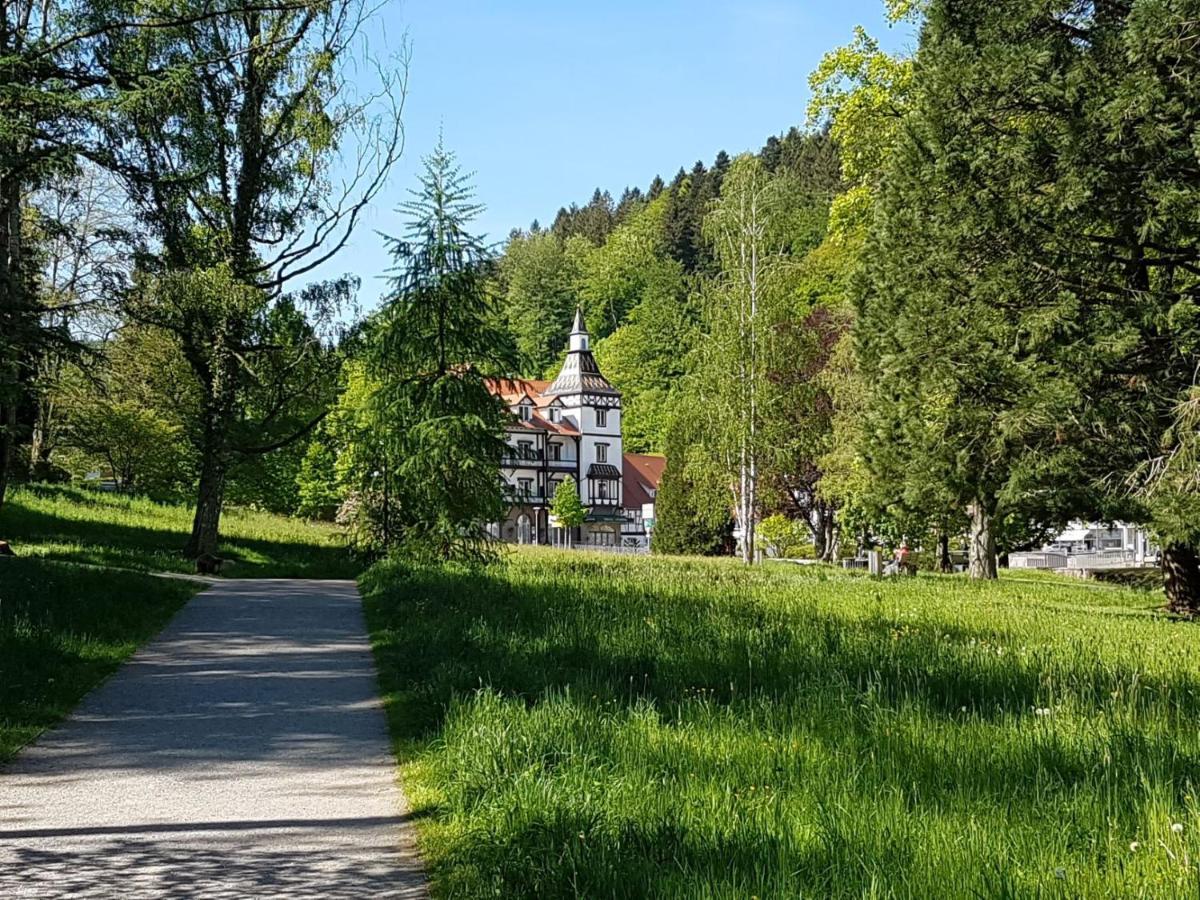 Am Klosterviertel Bad Herrenalb Exteriér fotografie
