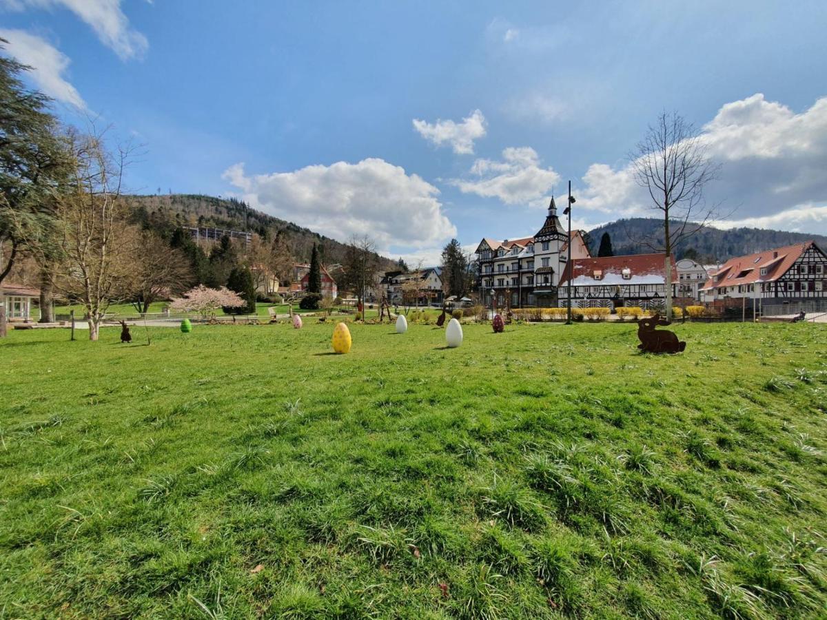 Am Klosterviertel Bad Herrenalb Exteriér fotografie